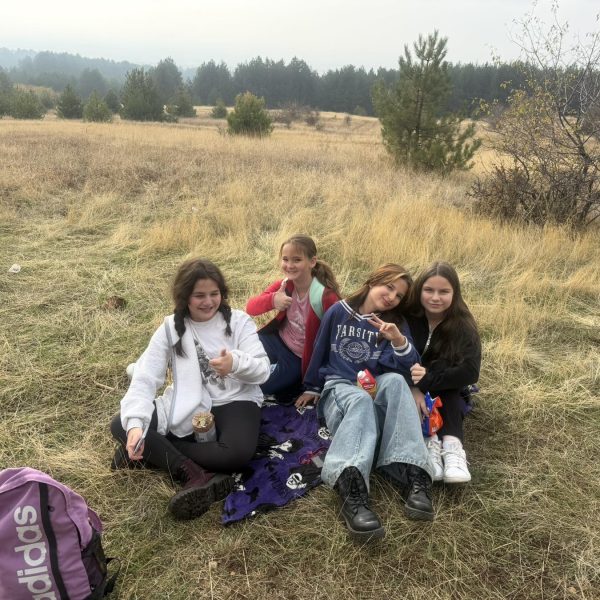 viber_изображение_2026-10-26_13-06-57-105